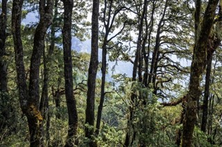 Bhutan