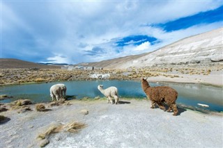 Bolivia