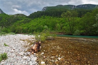 Bosnia