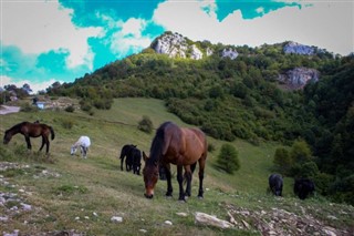 Bosnië-Herzegovina