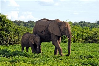Botswana