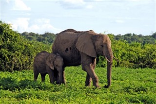 Botswana