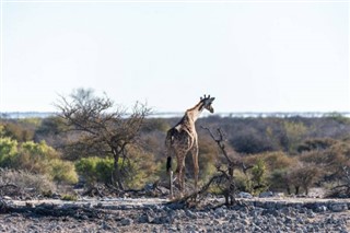 Botswana