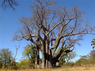 Ботсвана