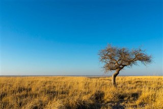 Botswana