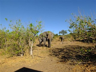 Botswana