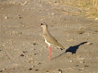 Botswana