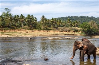 ಬೋಟ್ಸ್ವಾನ