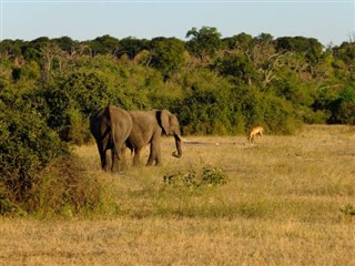 Botswana