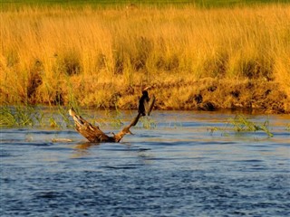 Botswana