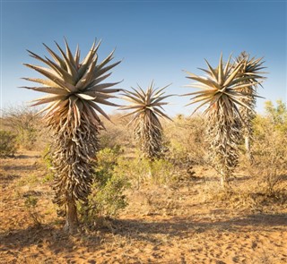 Botswana