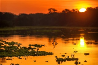 பிரேசில் வானிலை முன்னறிவிப்பு பிரேசில்