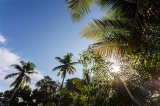 ব্রুনেই