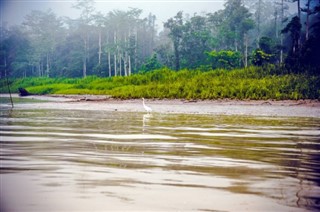ব্রুনেই