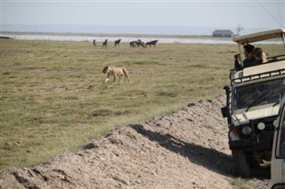 बुर्किना