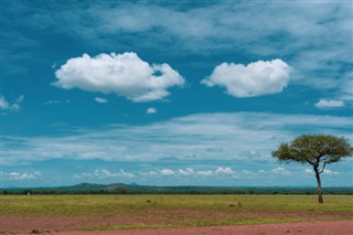 புர்கினா