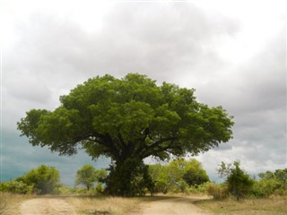 Burkina