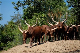 Burundi