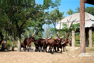 Burundi