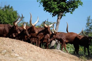 Burundi