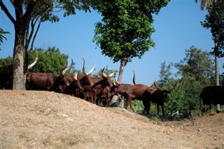 Burundi