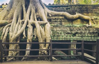 Cambogia