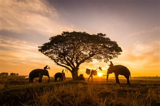Cambodja