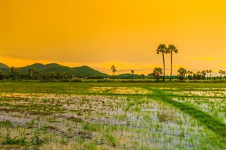 Cambodge