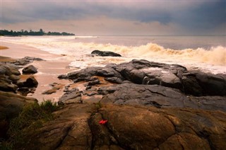 ক্যামেরুন