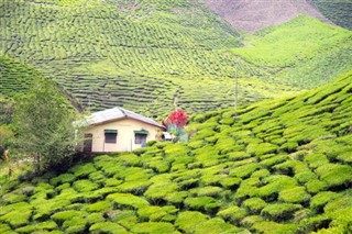 Kamerún