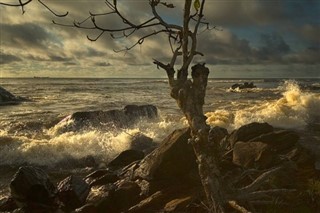 Камерун