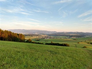 Žaliojo