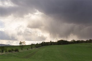 Žaliojo