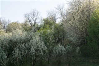 Kaboverde