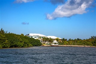 கெய்மன்