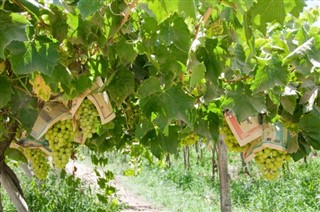 Şili