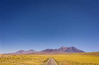 چلی