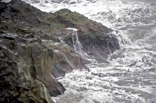 Insula