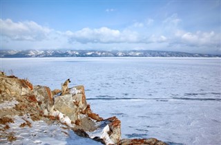 Božićni