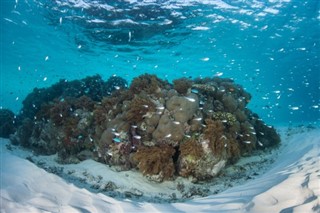 科科斯群島