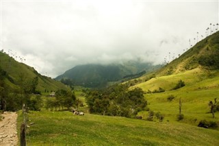 کولمبیا