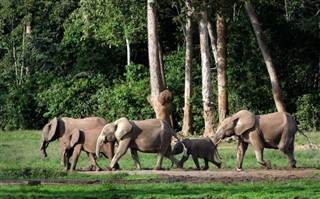 Kongo, Demokratische Republik Wettervorhersage Kongo,