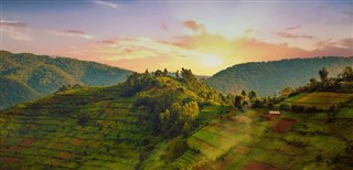 காங்கோ,