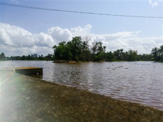 کانگو