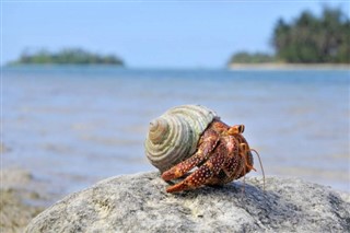 クック諸島