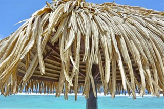 کوک
