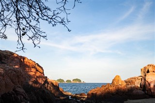 কোরাল
