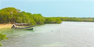 หมู่เกาะคอรัล