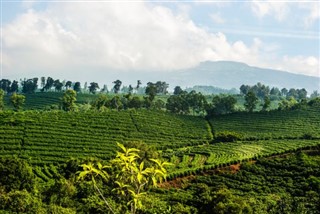 ಕೋಸ್ಟ