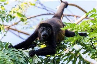 Costa Rica dự báo thời tiết Costa
